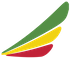 Ethiopian Airlines